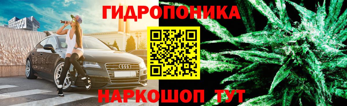 Шишки марихуана White Widow Богородицк